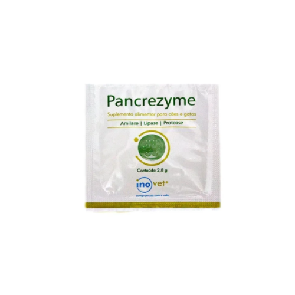 PANCREZYME SACHE 2,8G